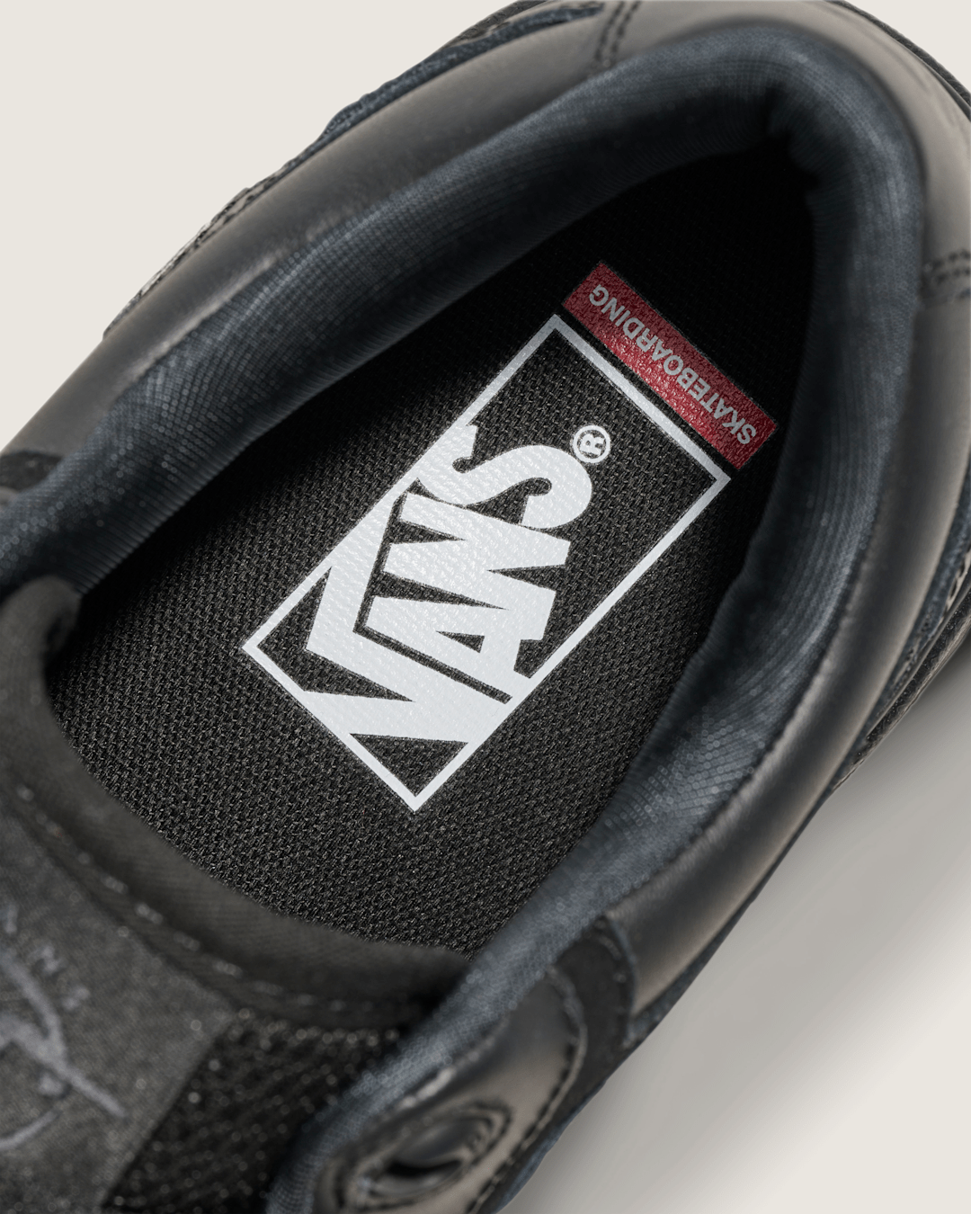 Skate Rowan 2.0 Leather Shoe in Black | Vans outlet